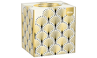 Products_Andrex Gentle Clean