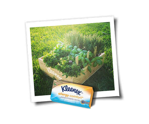 Kleenex